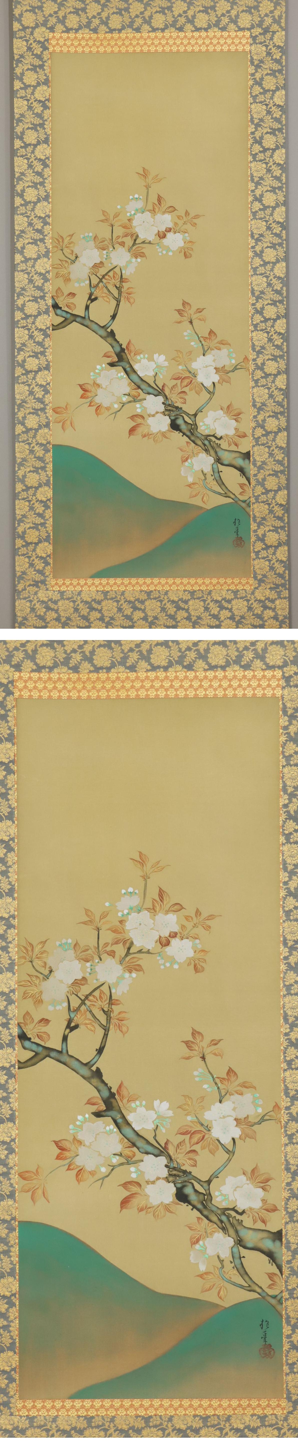 人気激安◆酒井抱一◆山桜◆日本画◆手彩色◆二重箱◆絹本◆掛軸◆m561 花鳥、鳥獣