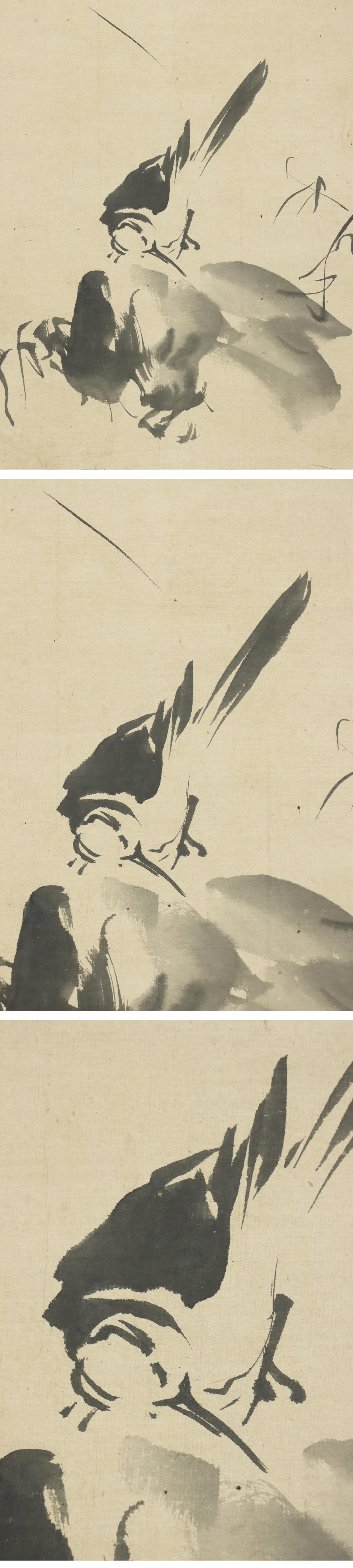 得価国産◆狩野探幽◆鶺鴒◆日本画◆鍛冶屋橋狩野派初代◆紙本◆掛軸◆m323 花鳥、鳥獣
